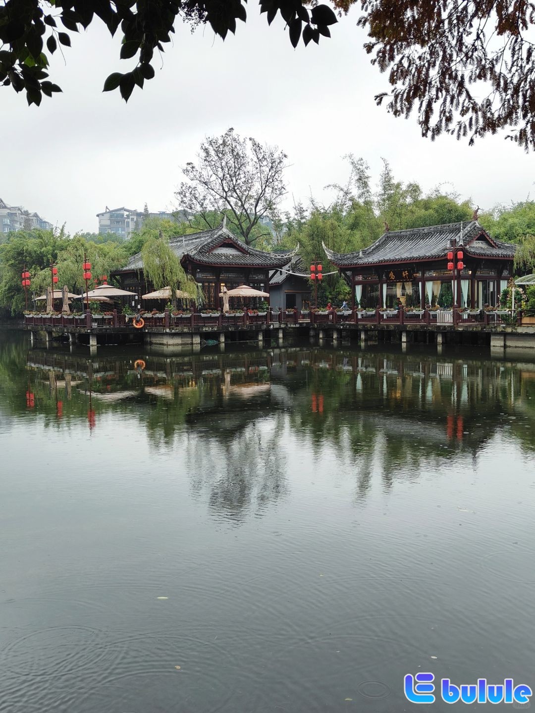 留得残荷听雨声打卡雨中棠湖公园007.jpg