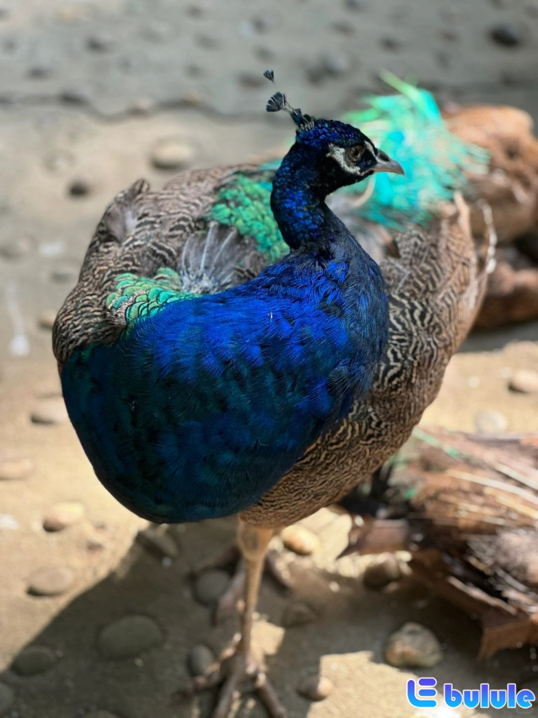 好温暖的阳光006.jpg
